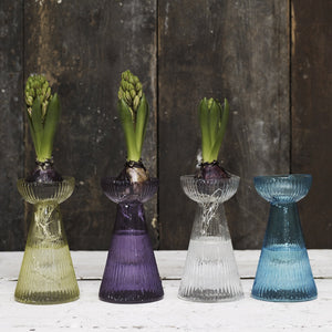 Hyacinth Bulb Vases