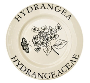 Modern Botanicals Dinner Plates