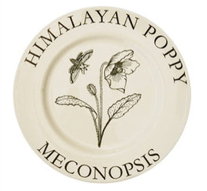 Modern Botanicals Dinner Plates