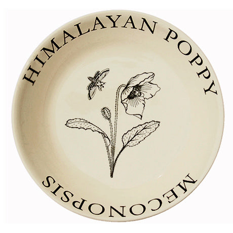 Modern Botanicals Serving Bowls