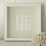 Sand Dollars Boxframe