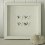 White Butterfly Boxframe Small