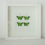 Green Butterfly Boxframe Small