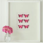 Pink Butterfly Boxframe Large