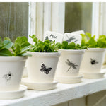 Modern Botanical Plant Pots and Dishes